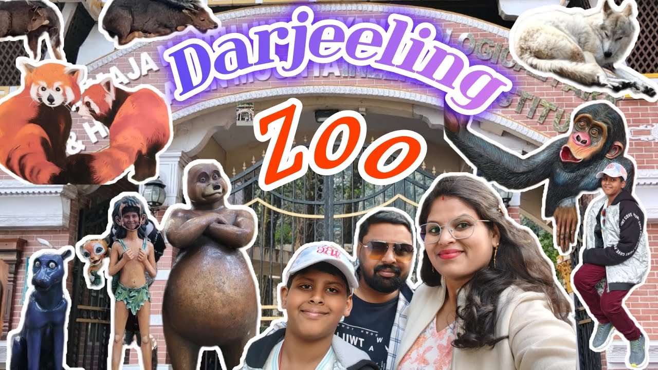 Darjeeling zoo🦁🐯 లో మెము ఎలా enjoy చేసామో చూడండి !! #trendingvideo#dailyvlog @lavanyaslifestyle2013 