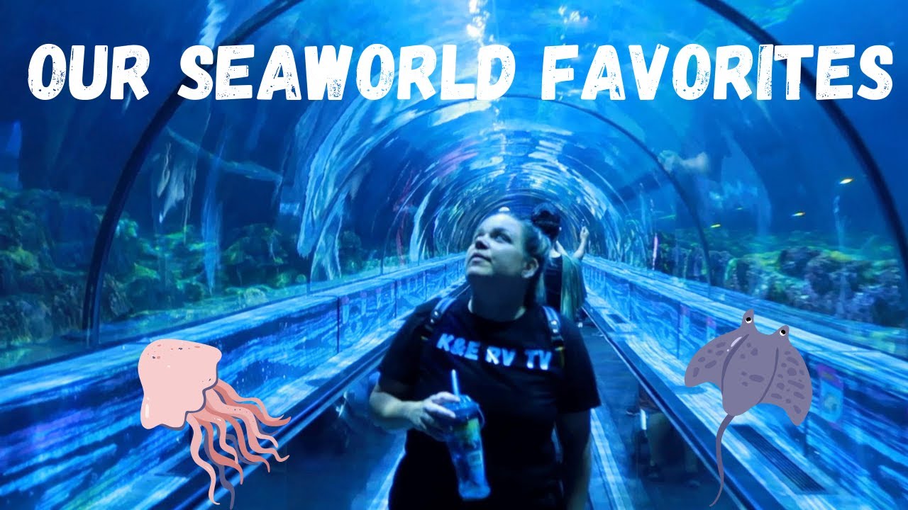 HOW TO HAVE AN AWESOME DAY AT SEAWORLD | OUR WET N WILD DAY!