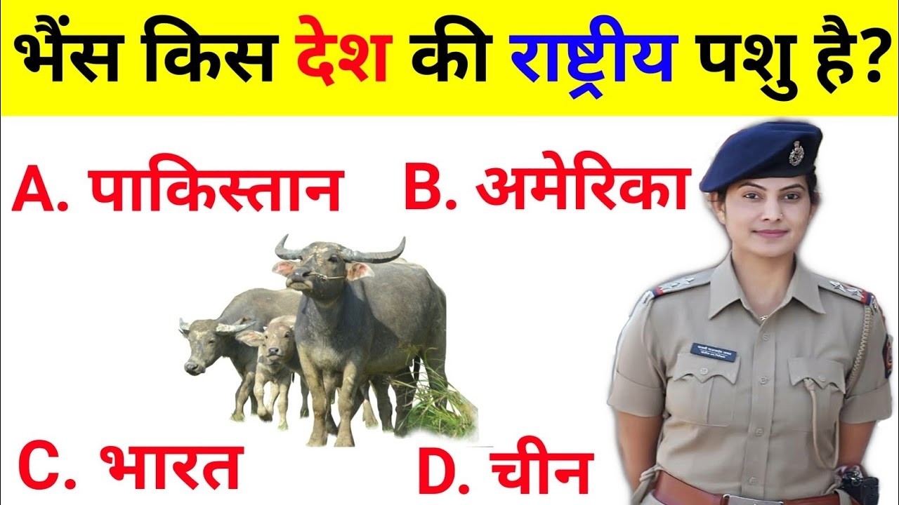 GK  Question || GK In Hindi || GK Question and Answer || GK Quiz || BRAIN BOOSTER ||
