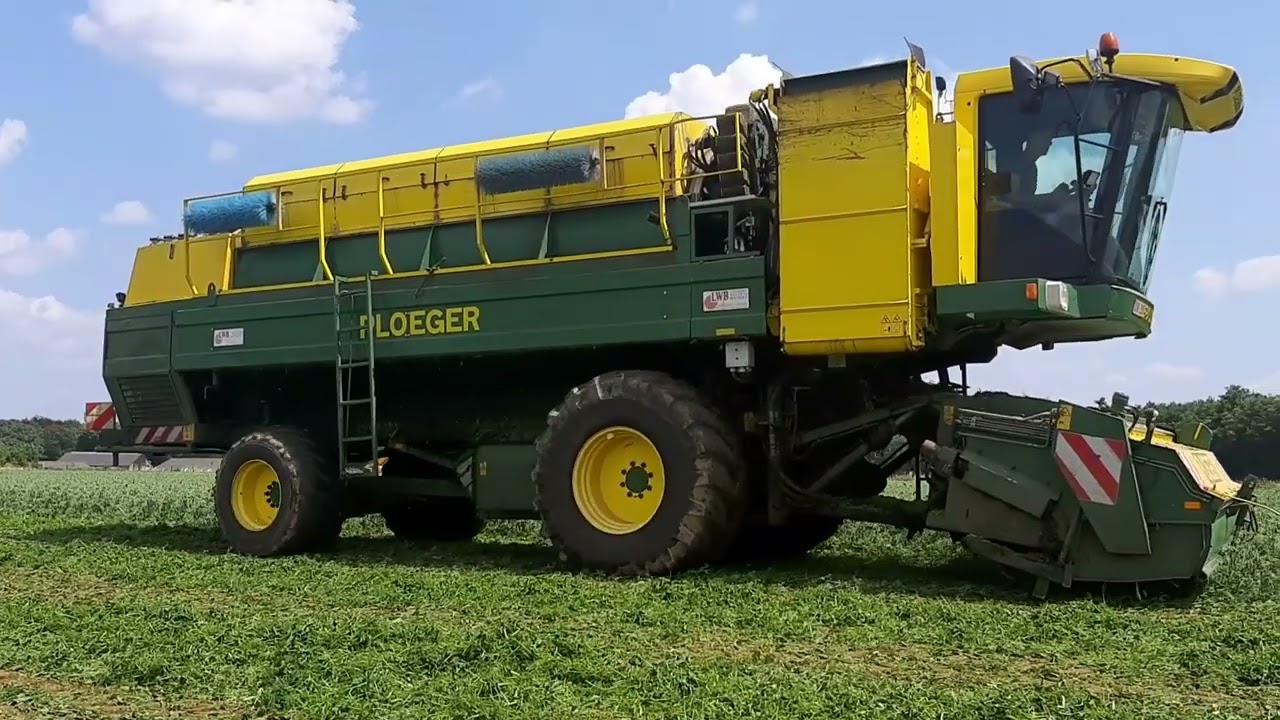 Erwten dorsen LWB 2023