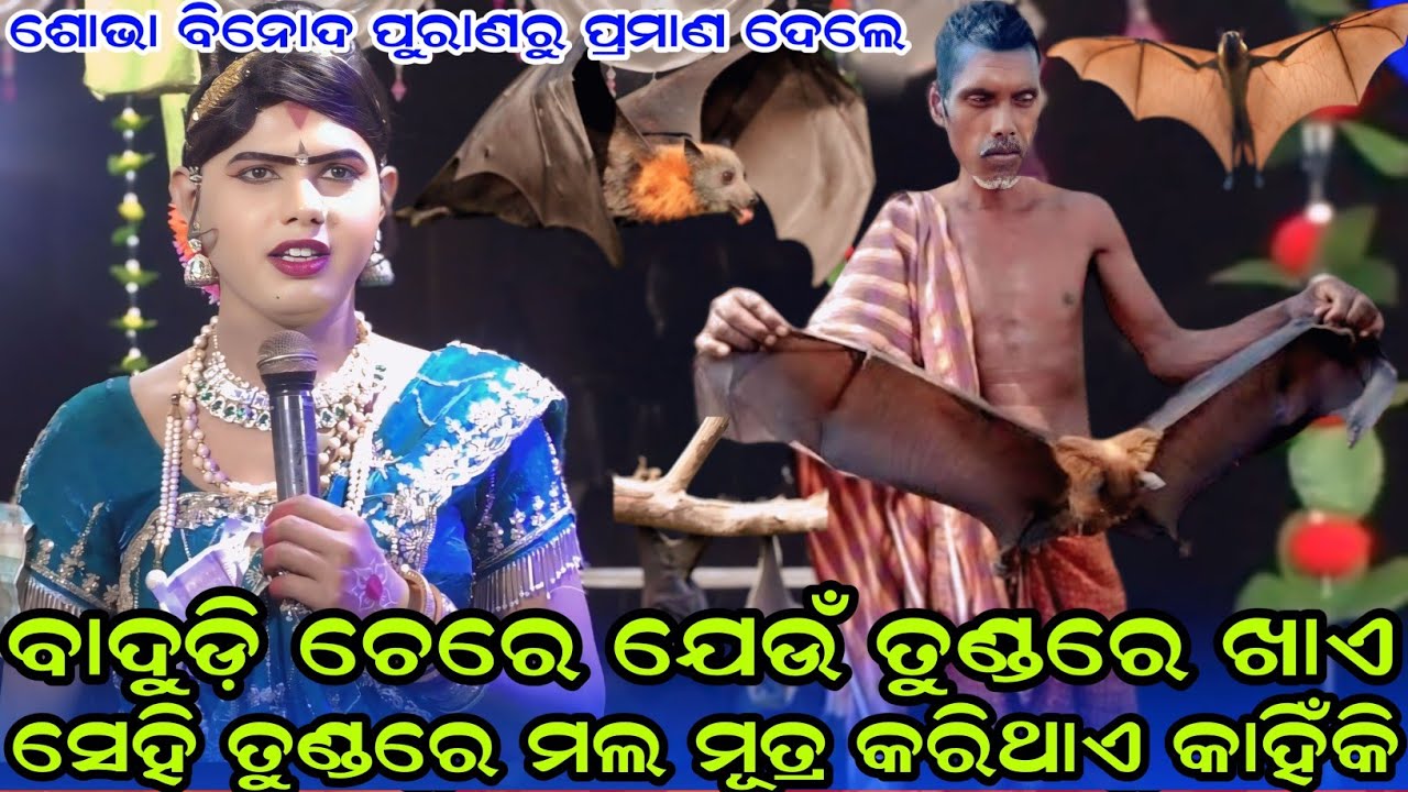 ବାଦୁଡି ଚେଯେଉଁ ତୁଣ୍ଡରେ ଖାଏ ସେହି ତୁଣ୍ଡରେ ମଲ ମୂତ୍ର#maa benjaren danda nurty, chindaguda danda nurty