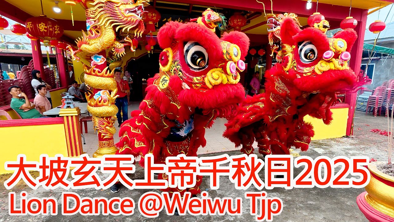大坡玄天上帝千秋日2025威武醒獅團采青 | Lion Dance Weiwu Tjp @xu&aacute;n tiān sh&agrave;ng d&igrave; Temple in Senggarang Tanjung pinang