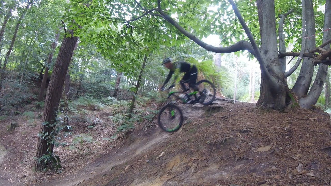 Bedgebury Forest MTB. The single track. The 