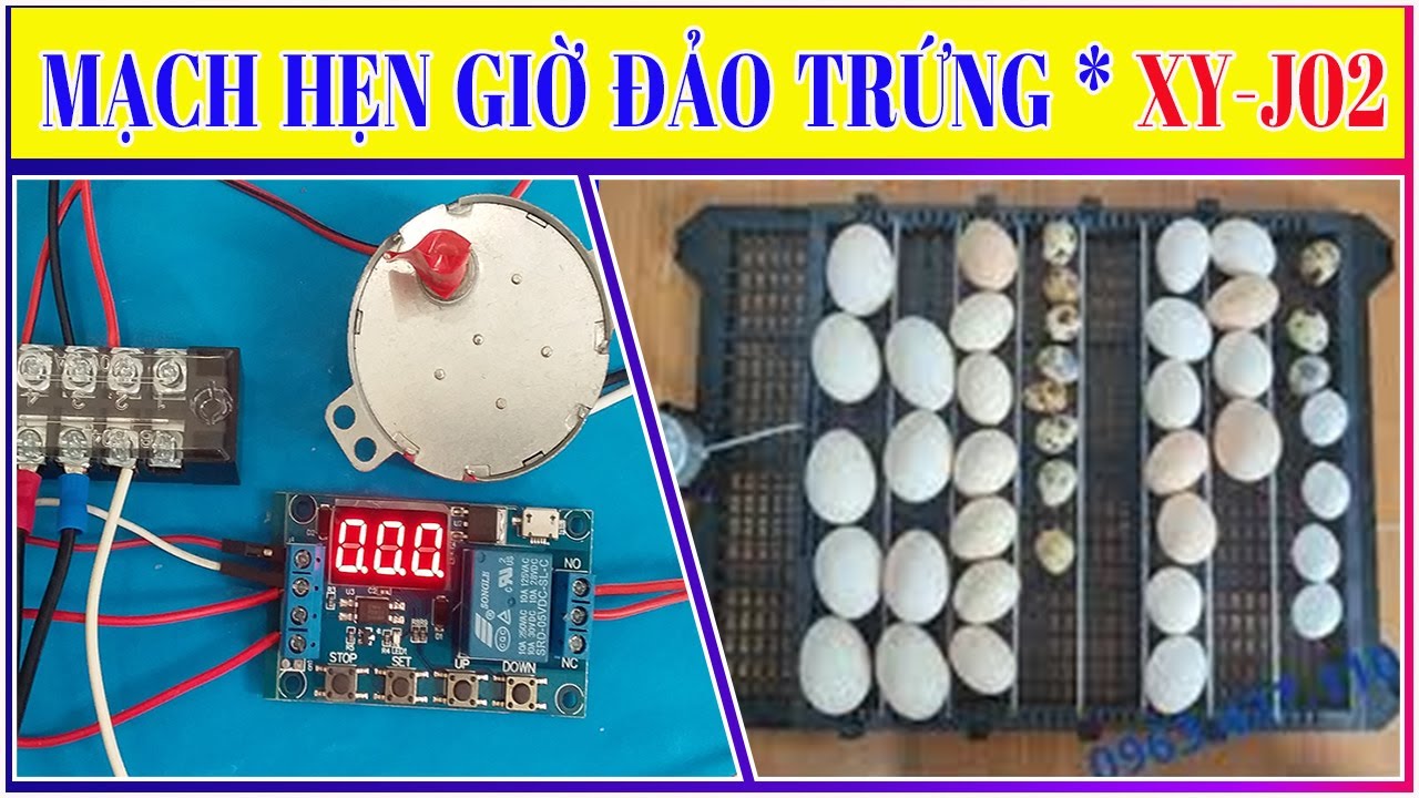 Mạch Hẹn Giờ Đảo Trứng // Khay Đảo Trứng Tự Động // module tạo trễ XY-J02