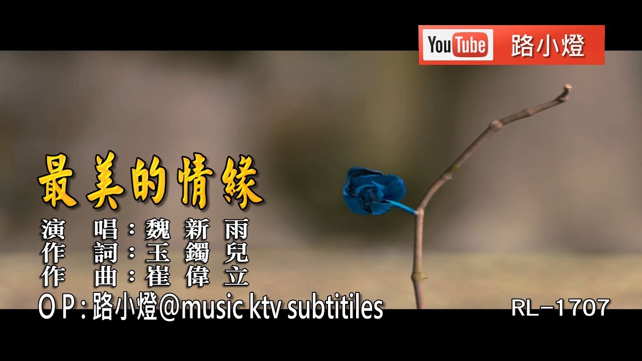 魏新雨 | 最美的情緣 | (1080P)KTV
