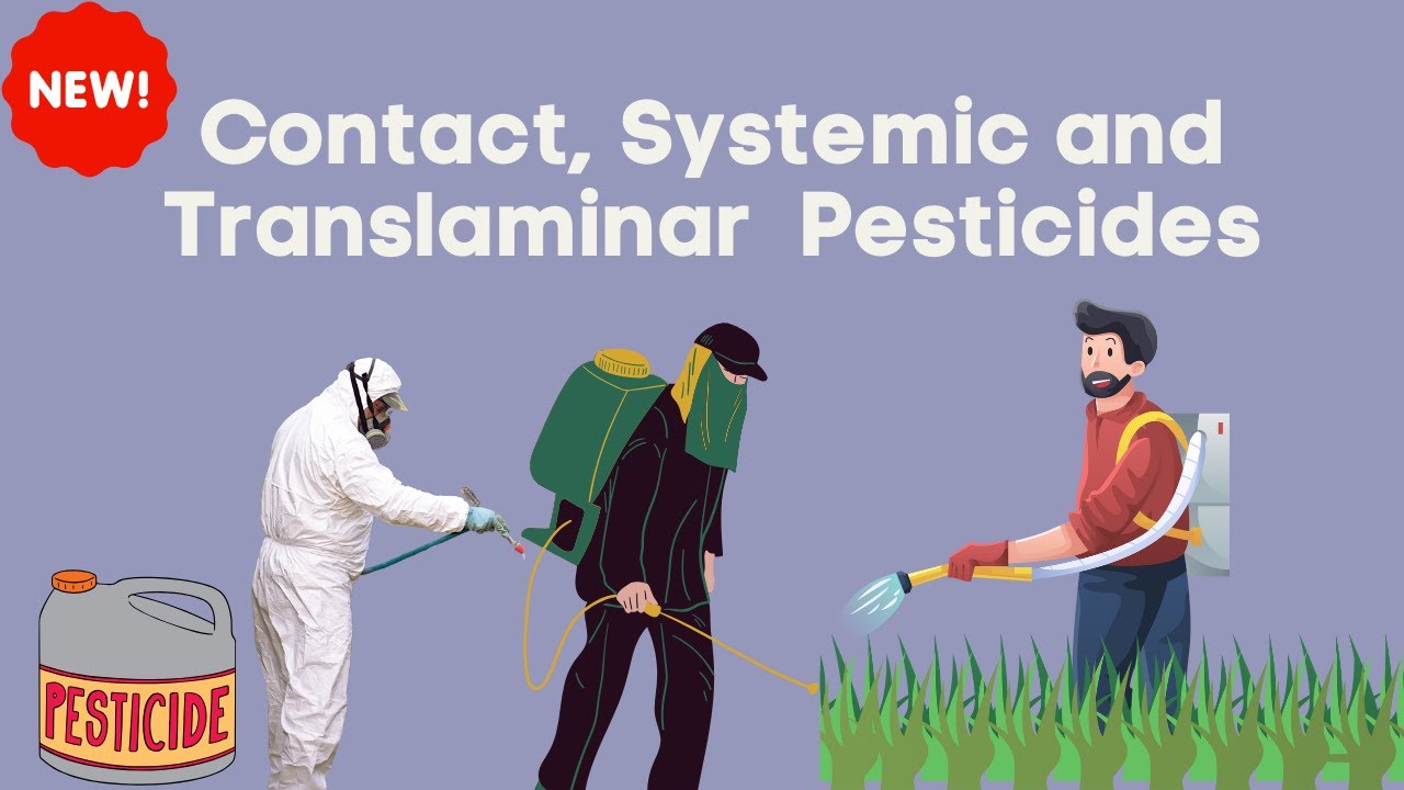 5 Types of Pesticides Explained | Contact, Systemic, Translaminar, Fumigant & Biopesticides