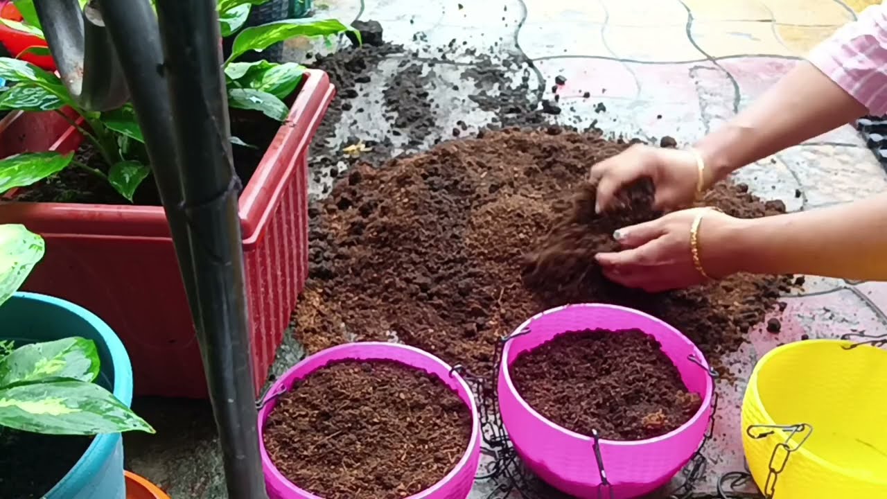 कोको पीट को लाभ/Benefits of coco peat in garden.in Nepali language