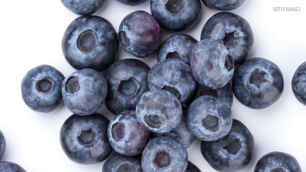 Dr. Joe Schwarcz: Blueberries and your health