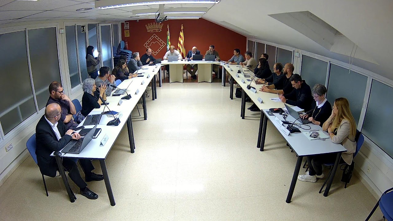 Ple ordinari 12/11/2025