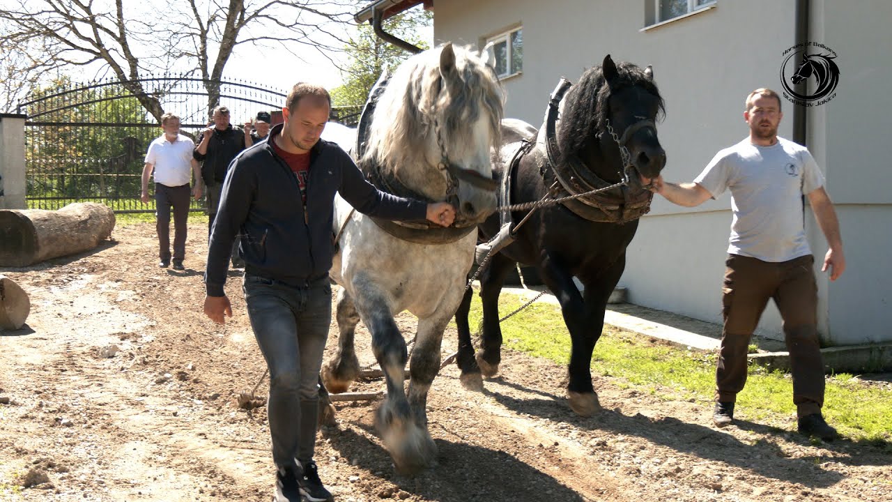 - ŠTRAPARI SRBIJE U POSJETI RANČU MEDIĆ U SANICI -