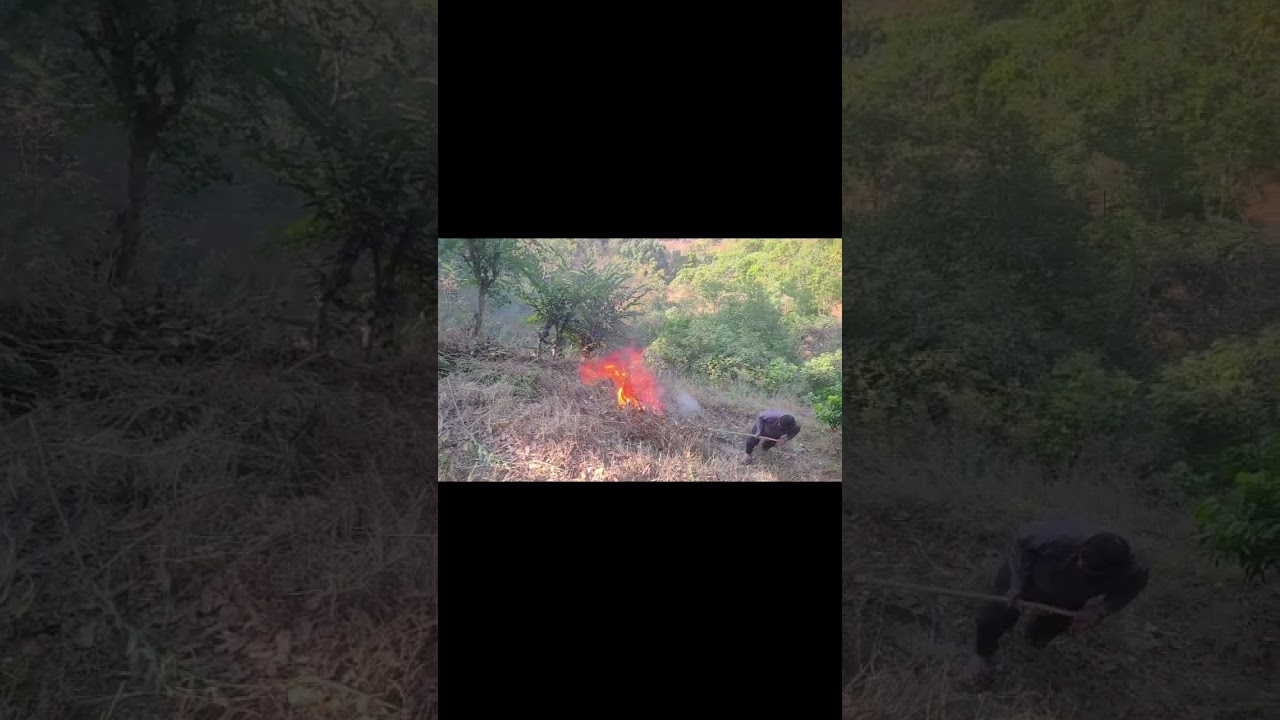 गाँव में घर के आसपास की सफायी अभियान जारी 