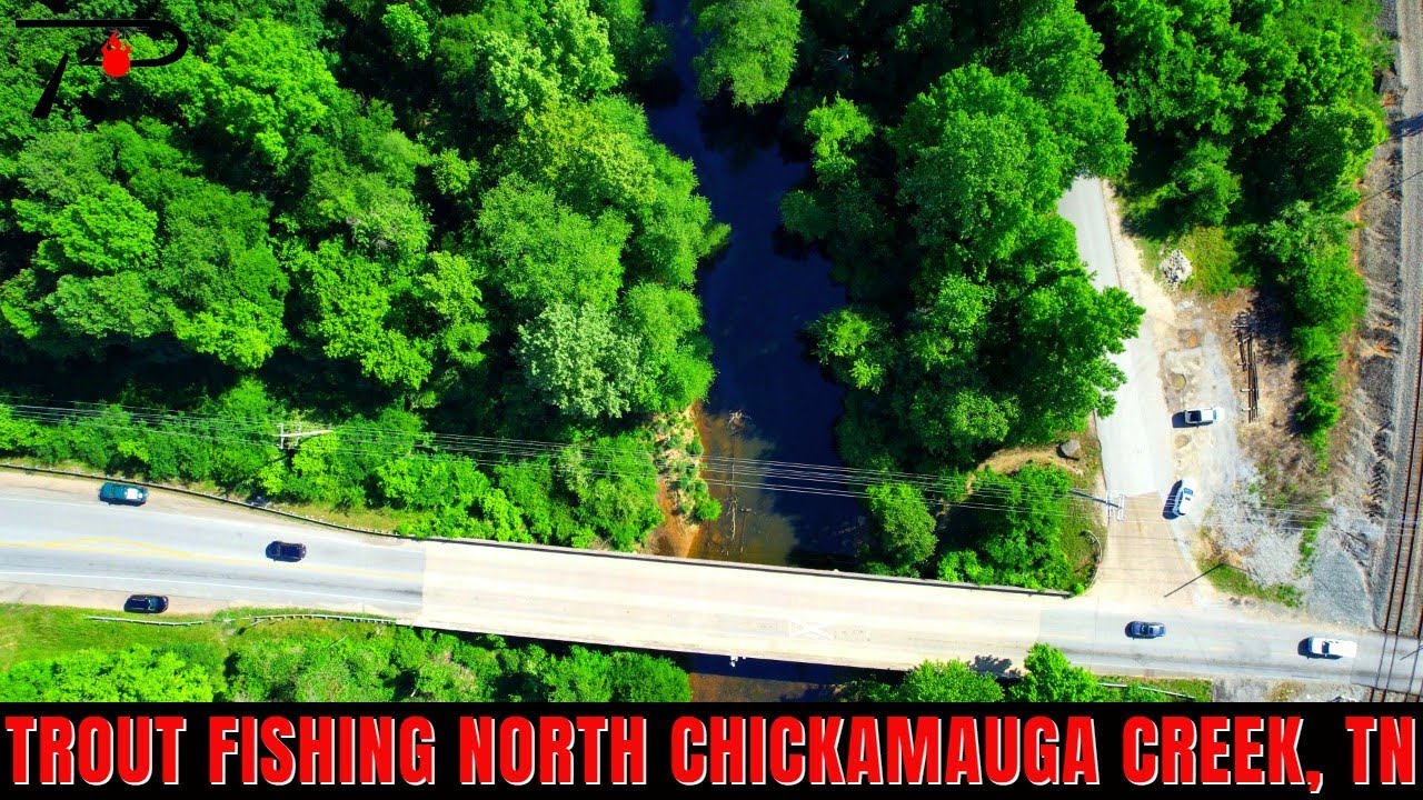 Trout Fishing Tennessee's North Chickamauga Creek