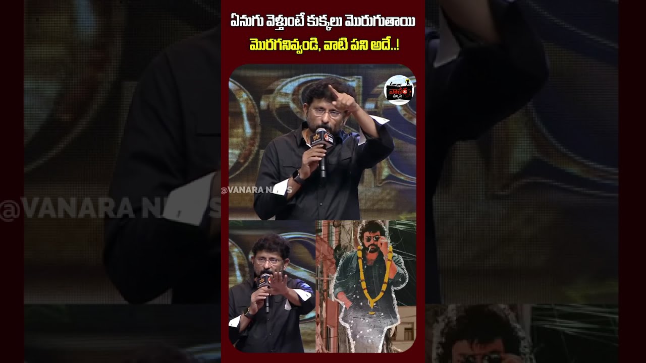 ఏనుగు వెళ్తుంటే కుక్కలు మొరుగుతాయి&hellip; | When an elephant walks by, dogs bark |  #VanaraNews
