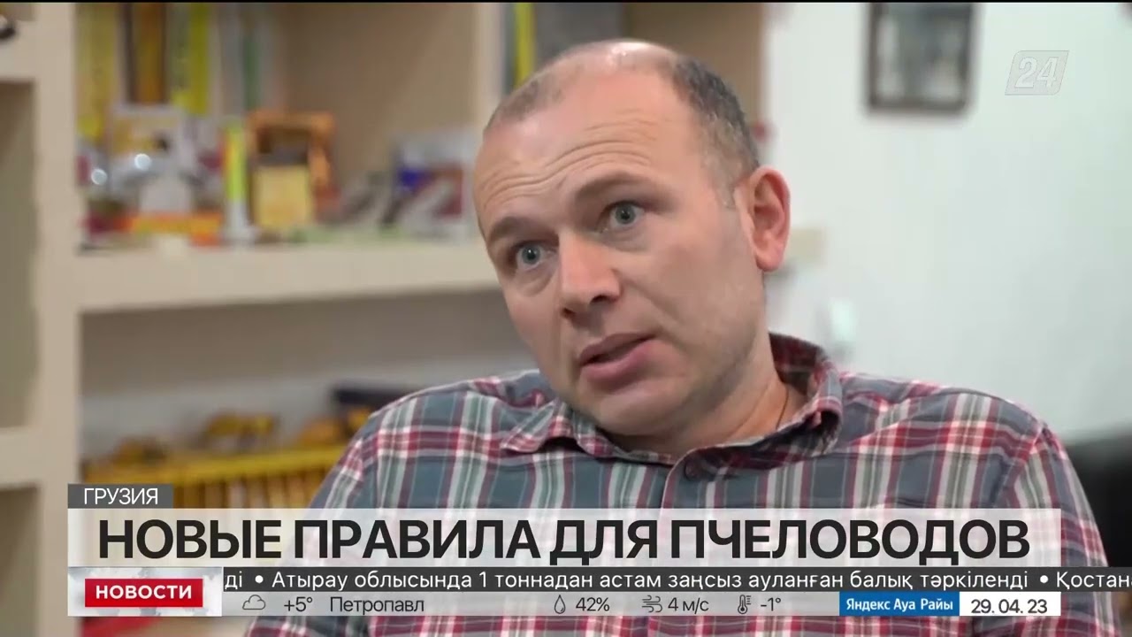 Пчеловоды Грузии столкнулись с проблемами экспорта меда