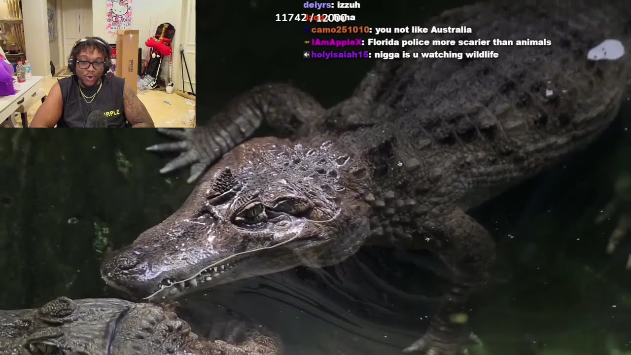 Yourrage Reacts To The Deadliest Animal In Each State