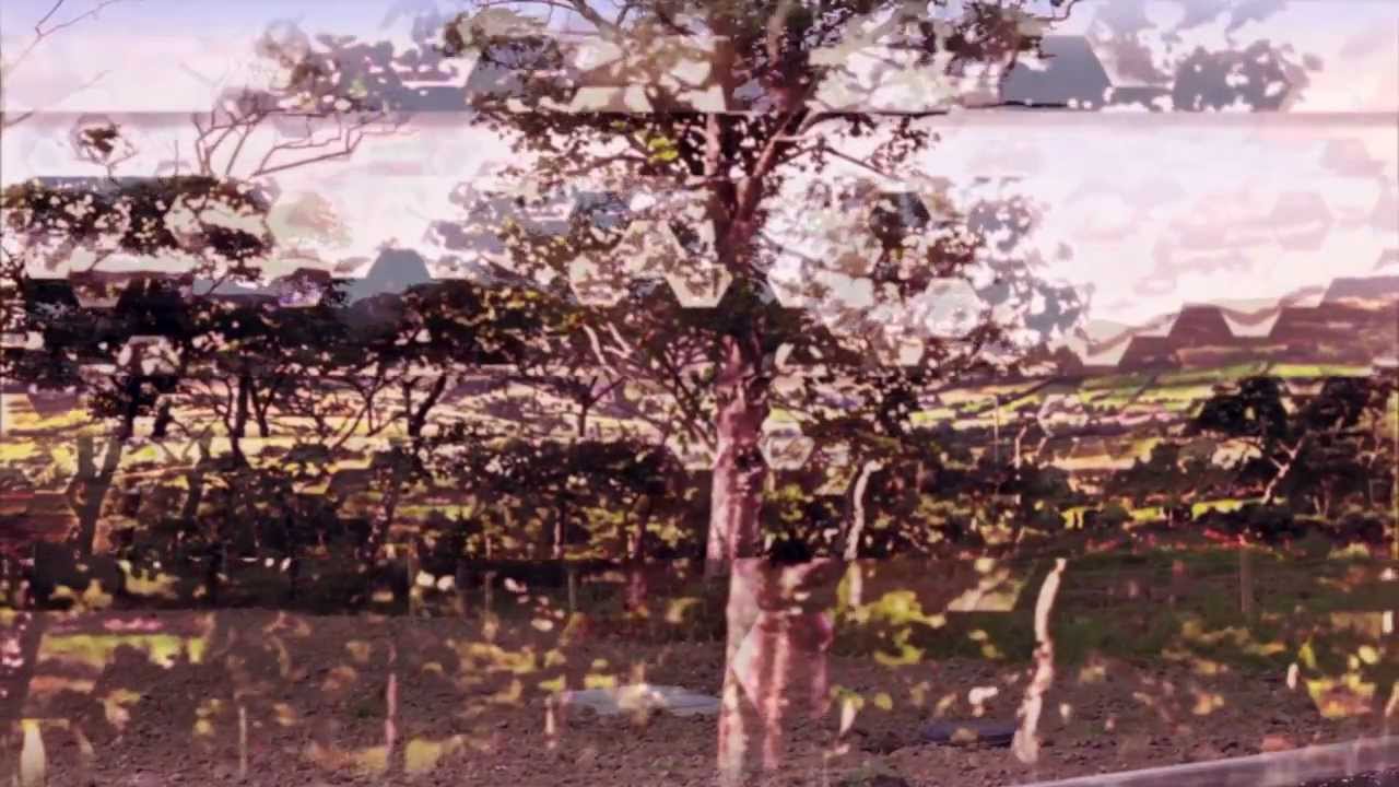 {Awayland} album trailer