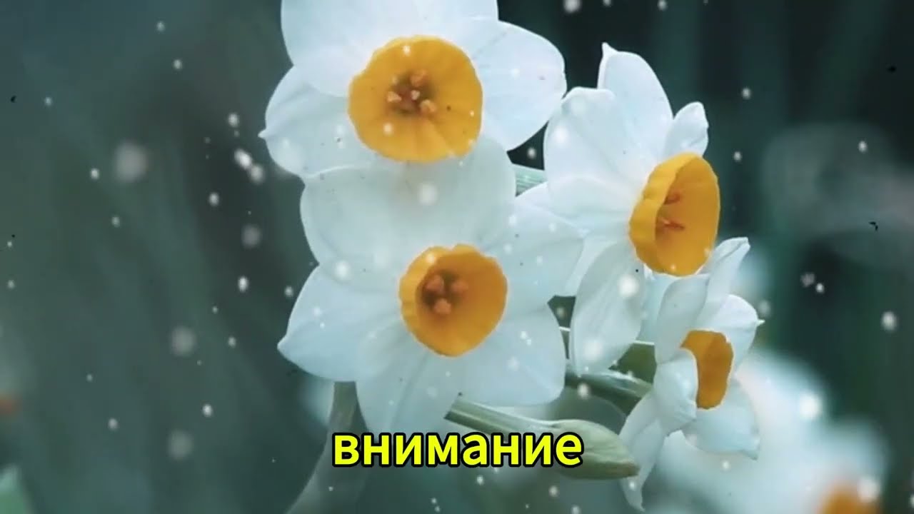 У ТЕЩИ НА ЮБИЛЕЕ БЫЛО ЖАРКО l ЛЮБОВНЫЕ ИСТОРИИ. АУДИО РАССКАЗ.