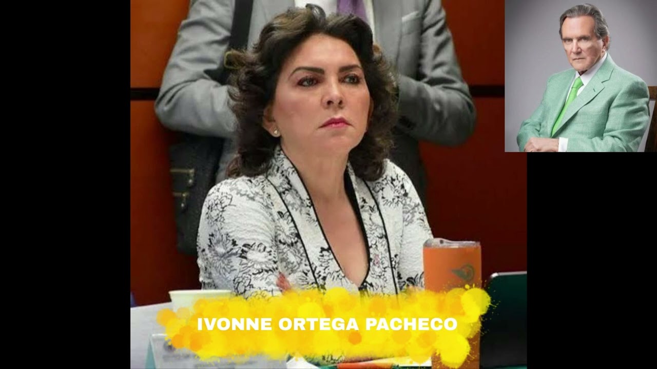 Reforma Electoral en debate: postura de Movimiento Ciudadano