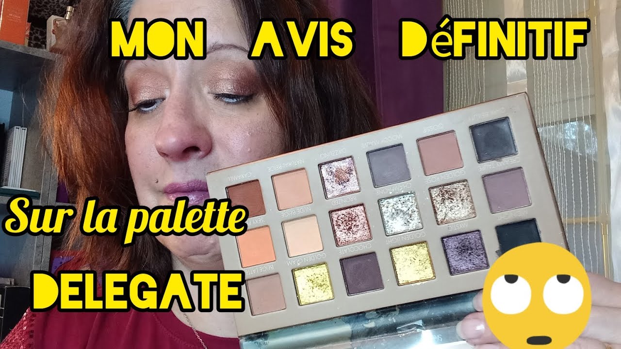 MON AVIS DÉFINITIF/palette delegate  FAB FACTORY/ pas beaucoup pigmentée.pour des makeups simples .