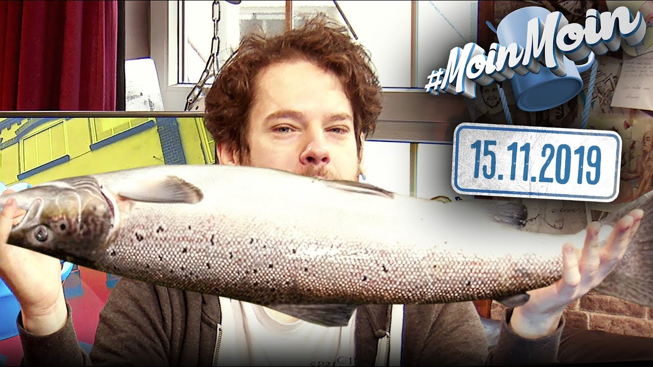 Der Fisch des Jahres & Der R&ouml;stzwiebel-Eklat | MoinMoin mit Florentin