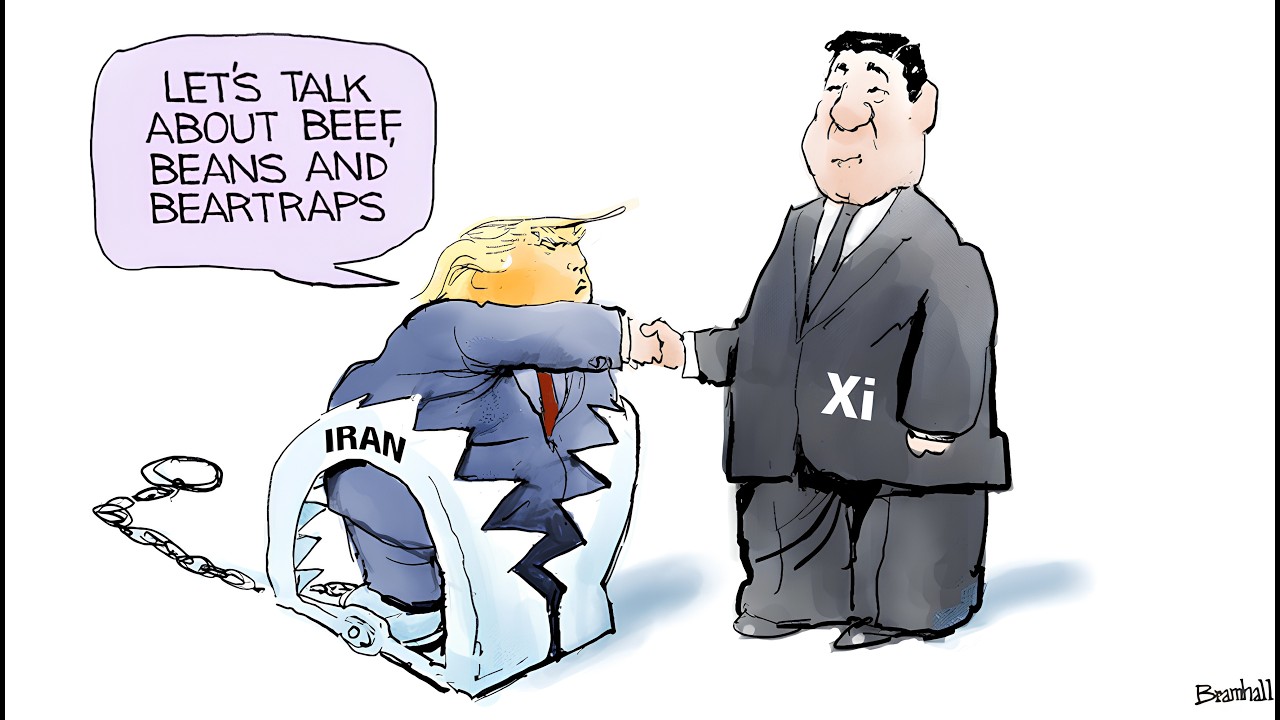 Trump Satire & U.S. Political Cartoons | Daily Viral Political Humor & Election Comedy | MAY 14