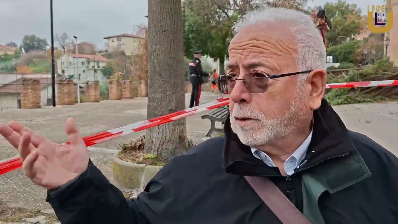 Abbattimento dei cipressi secolari di Arcavacata, testimoni del tempo accanto alla chiesa