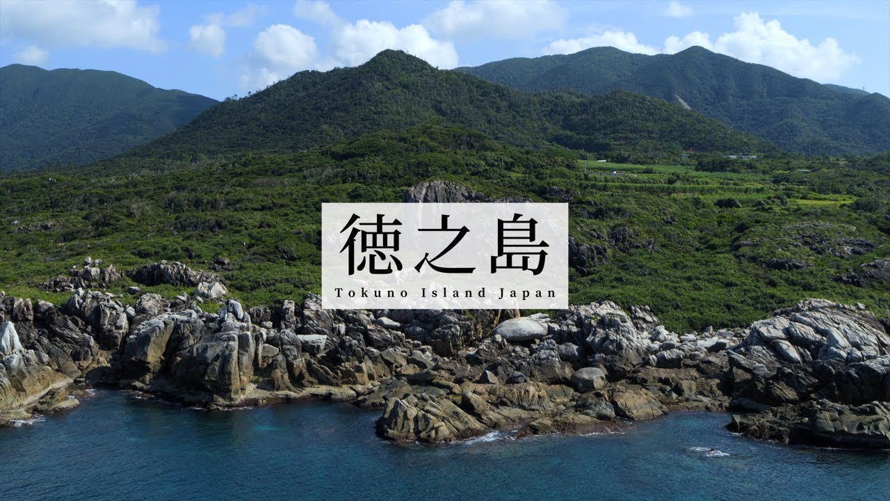 徳之島 Tokuno Island, Japan in 8K