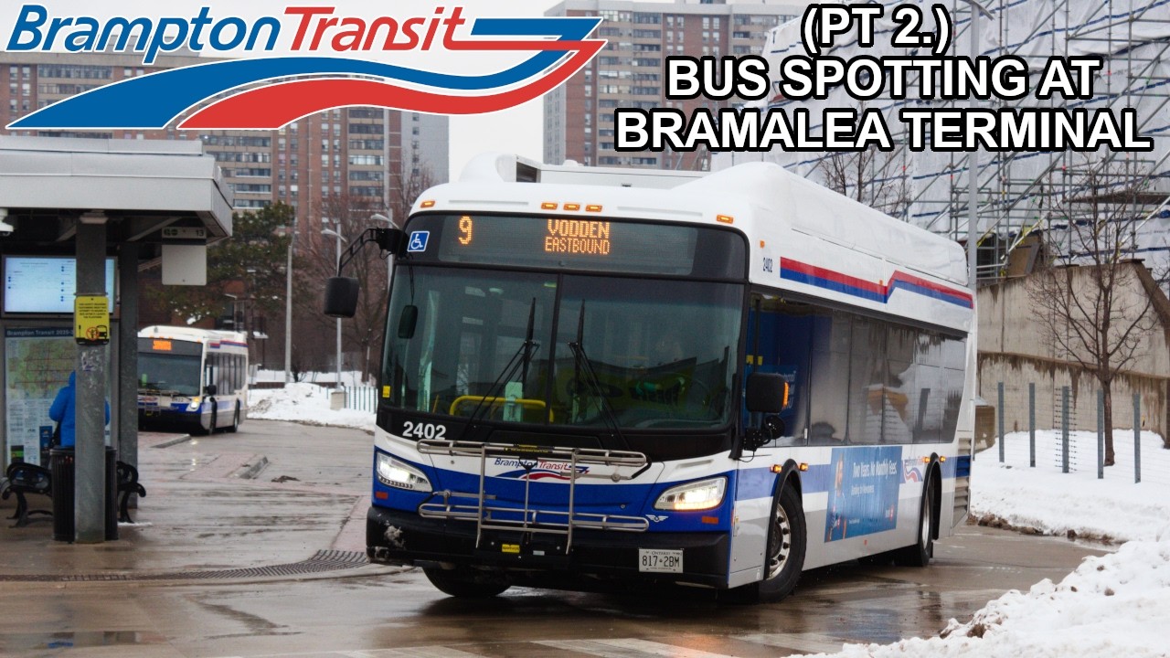 Brampton Transit | Bus spotting at Bramalea Terminal pt. 2