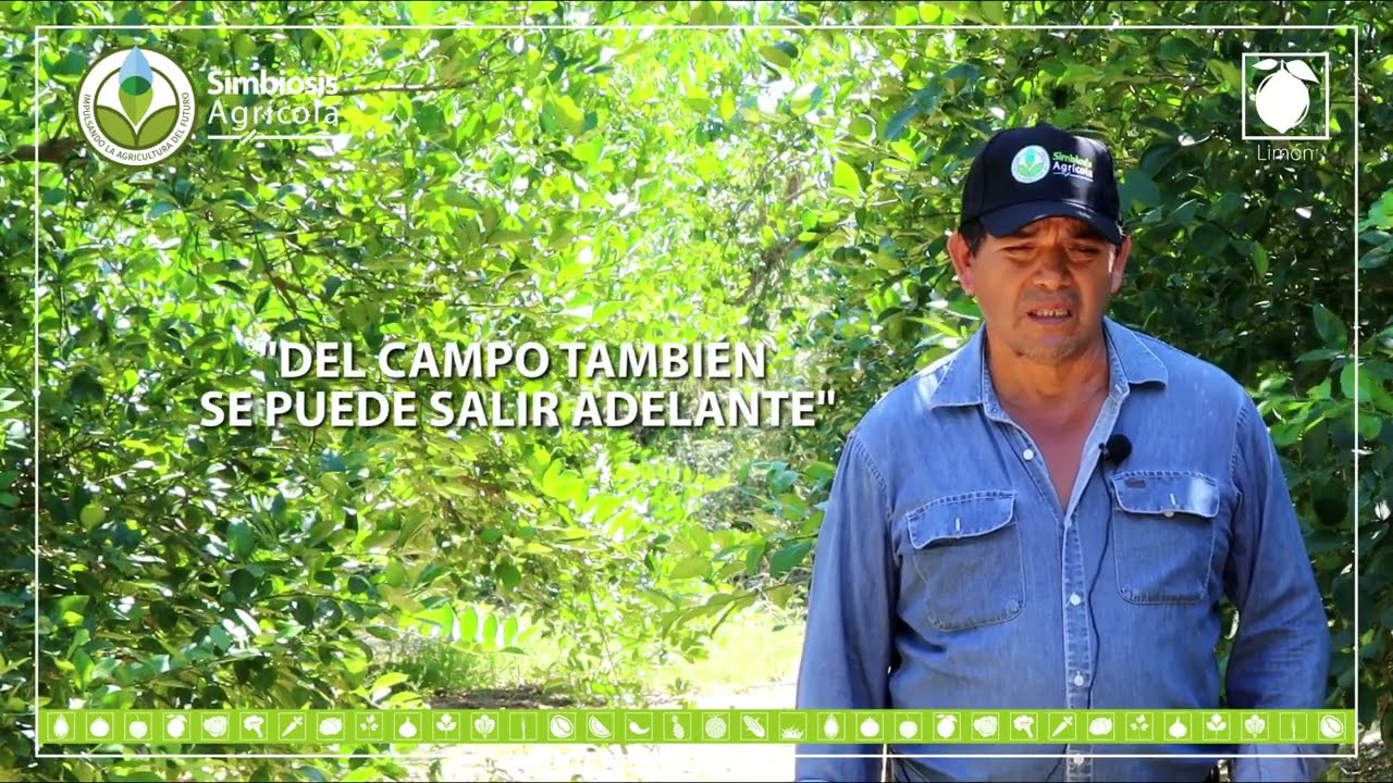 Cultivo de Limón en la Costa de Oaxaca - Testimonial Ing. Felicitos Ruiz Espinoza