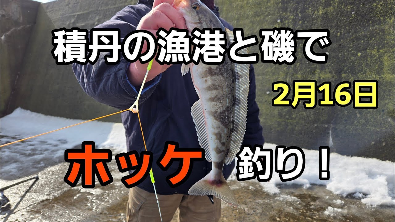 2月16日積丹の漁港と磯でホッケ釣り！