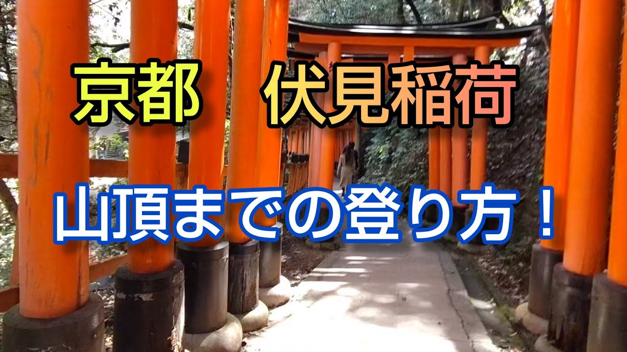 伏見稲荷大社／山頂までの登り方！【京都旅行】