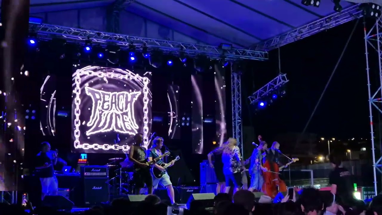 Peach Vice - Venec (Live at DFest in Shtip, 05.07.2025)