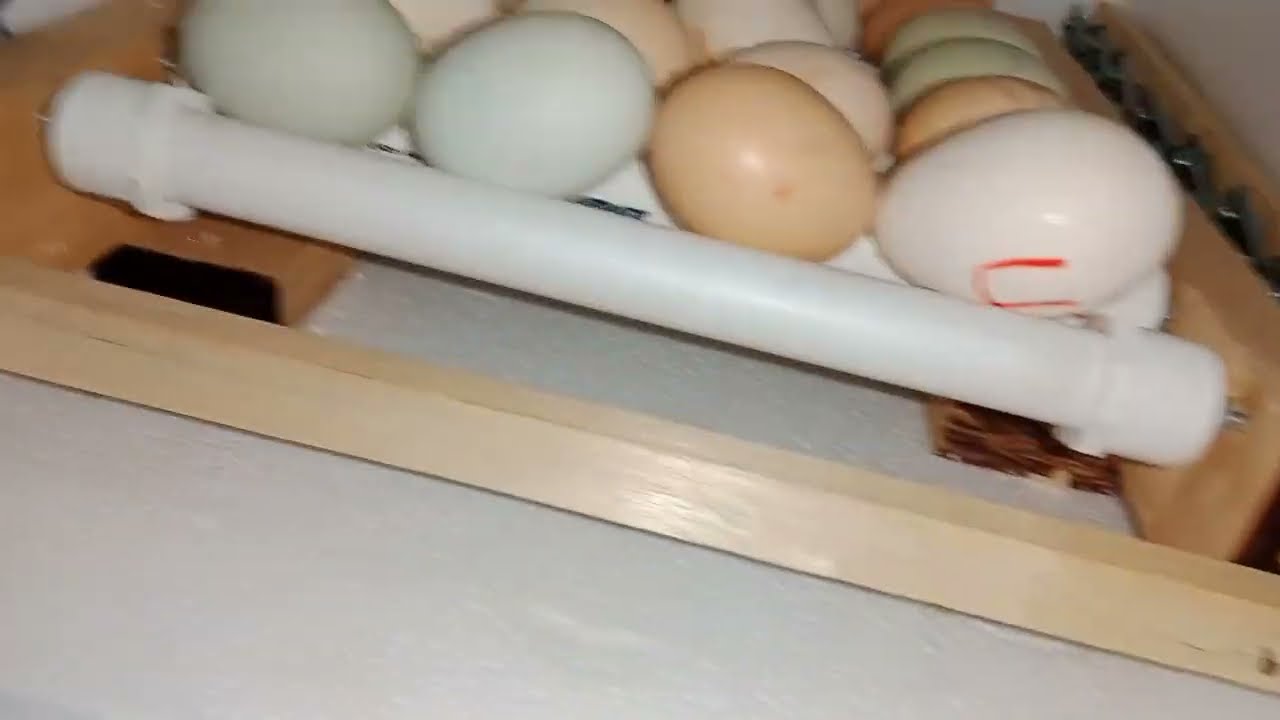 Tutorial, como hacer un sistema de volteo automatico de huevos casero.