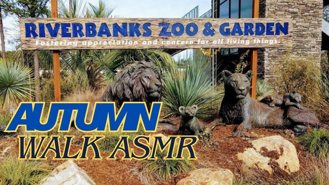 Walk to River Banks Zoo