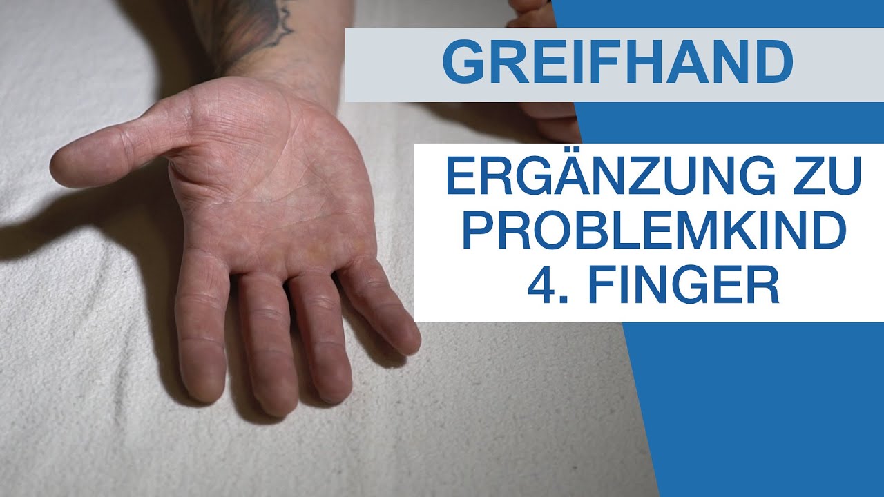 GREIFHAND ANATOMIE: Ergänzung zum Video 
