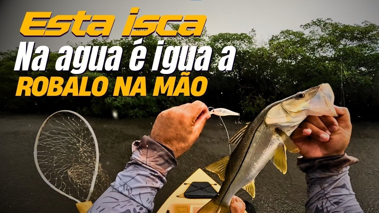 Pesca de Robalo no Mangue: Chuva, Ventania e Muita A&ccedil;&atilde;o! 🚣&zwj;♂️🔥