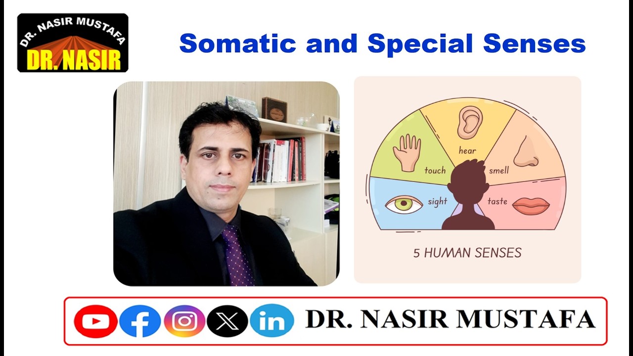 📚 Somatic and Special Senses | Complete Lecture 👁️ 👂 👅 👃