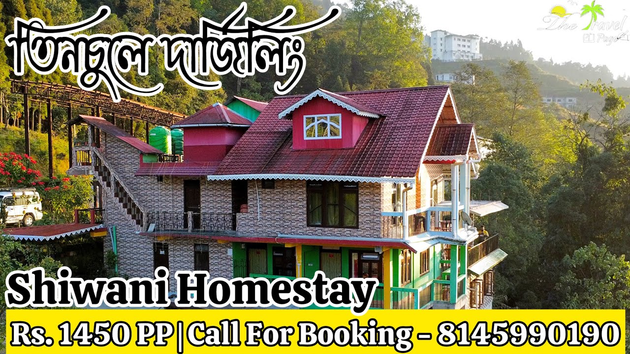 Best Homestay in Tinchuley | Shiwani Homestay | Offbeat Darjeeling | Call ☎️ 8145990190 #tinchuley