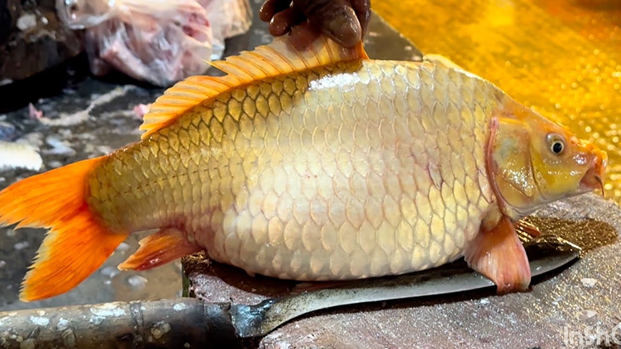 Big Carp & Mrigal Fish Cutting Skills In Fish Market | Fish Cutting Skills