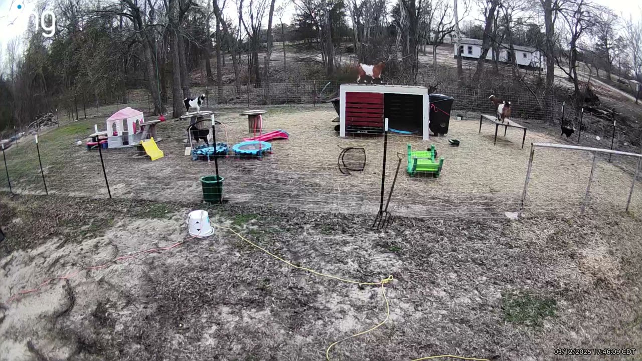 BruceLee wipes out 🤣🤣🤣 3/12/25