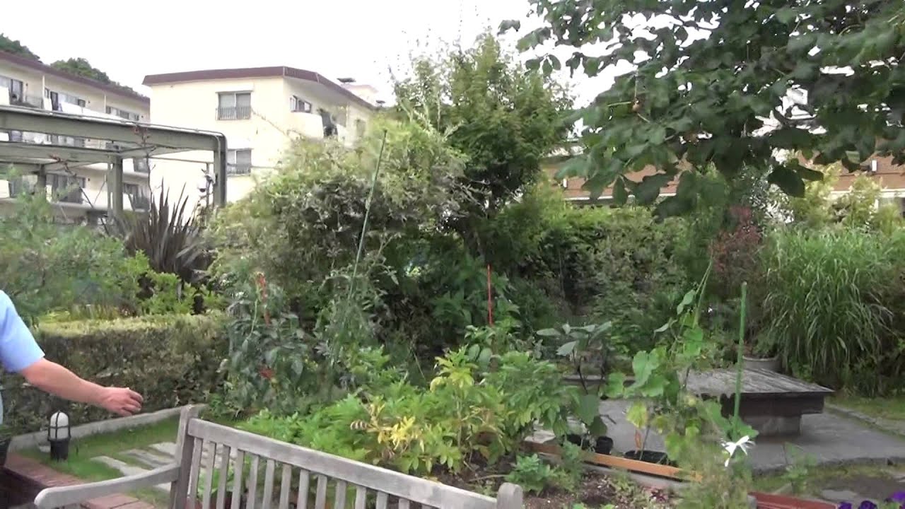 protoleaf garden Island Part1 garden