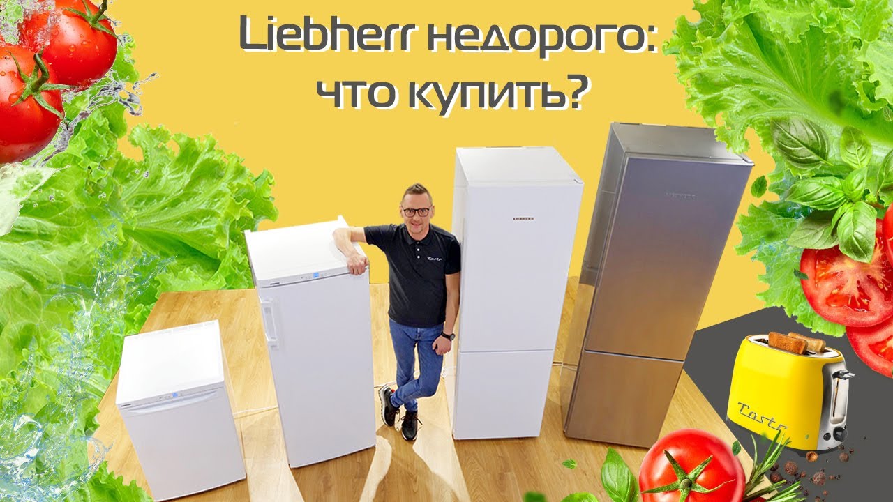 ТОП-4 недорогих холодильника и морозильника Liebherr (2021)