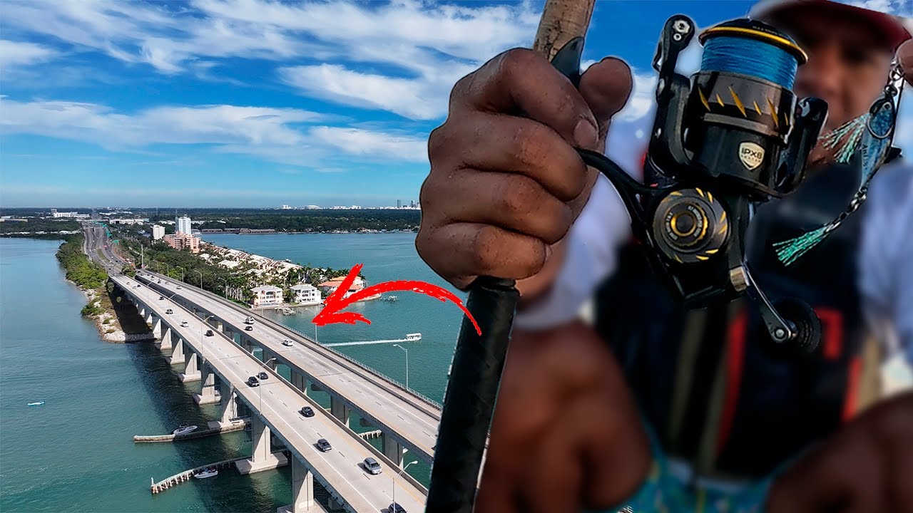 Picadas sin parar | Pesca en kayak en Florida #pesca