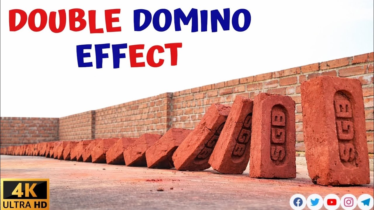DOUBLE CHAIN REACTION- 50 BRICKS DOMINO 😲|EXPERIMENT WALLAH 