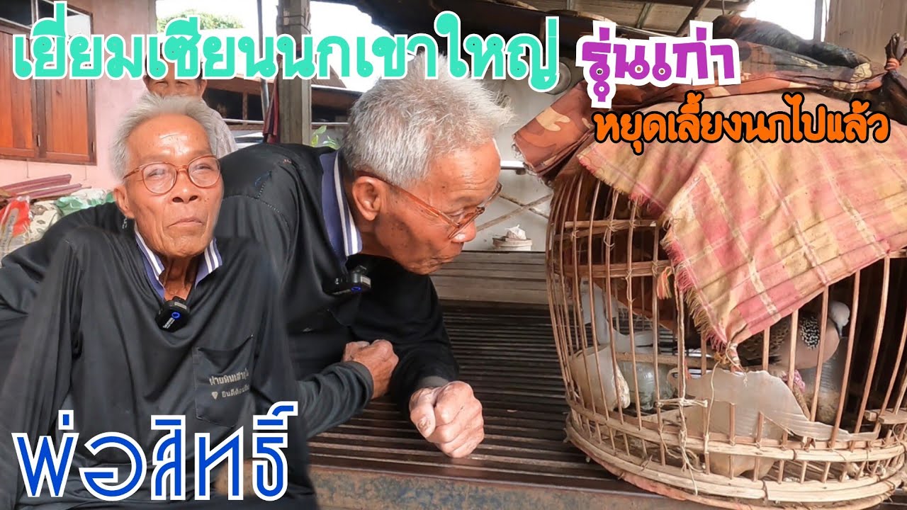 เยี่ยมเซียนนกเขาใหญ่…รุ่นเก่า…ที่หยุดเล่นนกไปแล้ว