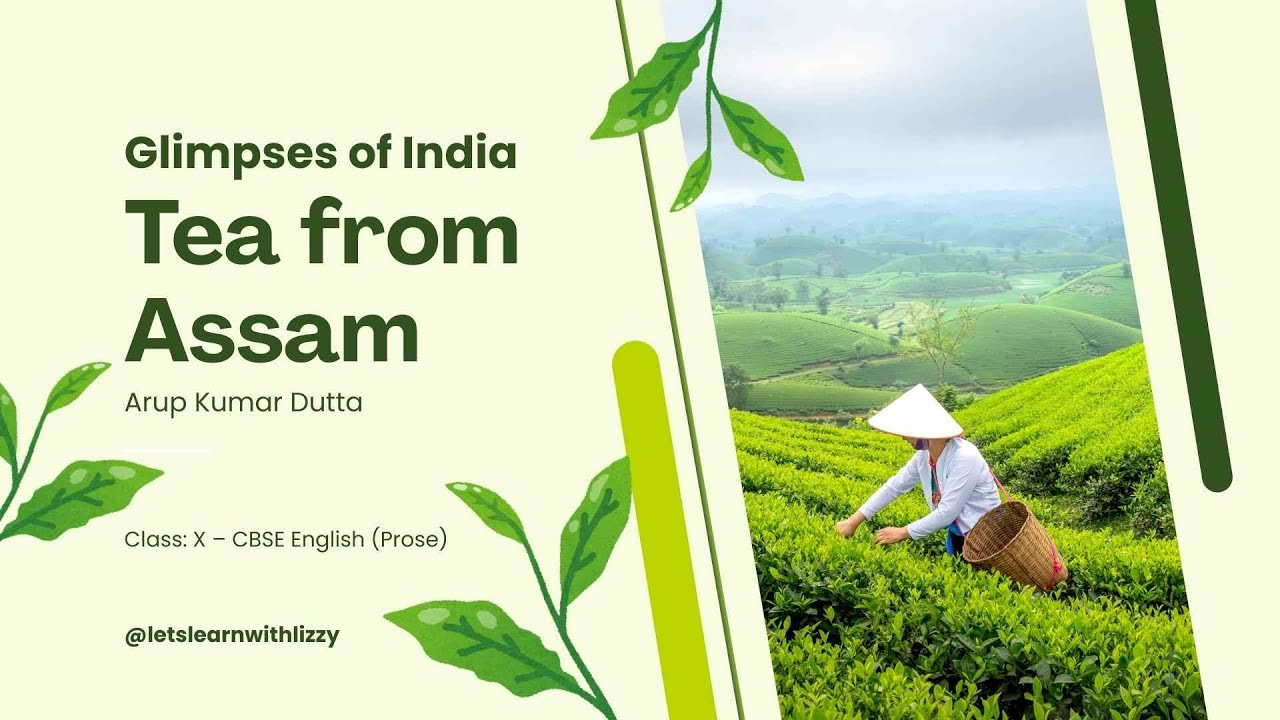 Tea from Assam Class 10 English | Full Explanation | First Flight Chapter 7