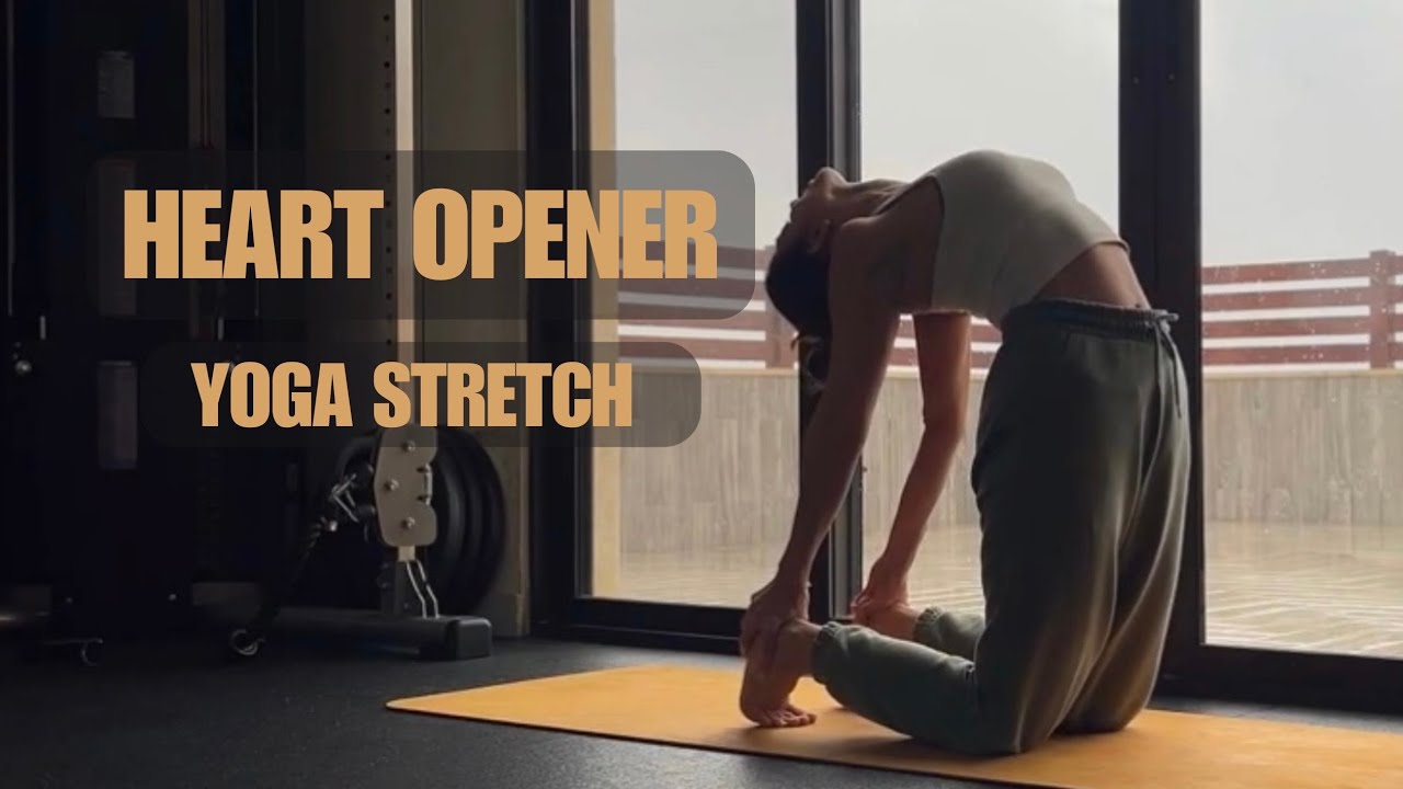 Yoga stretch 1 | Heart Opener: اليوم ١٤ من تحدي الخريف