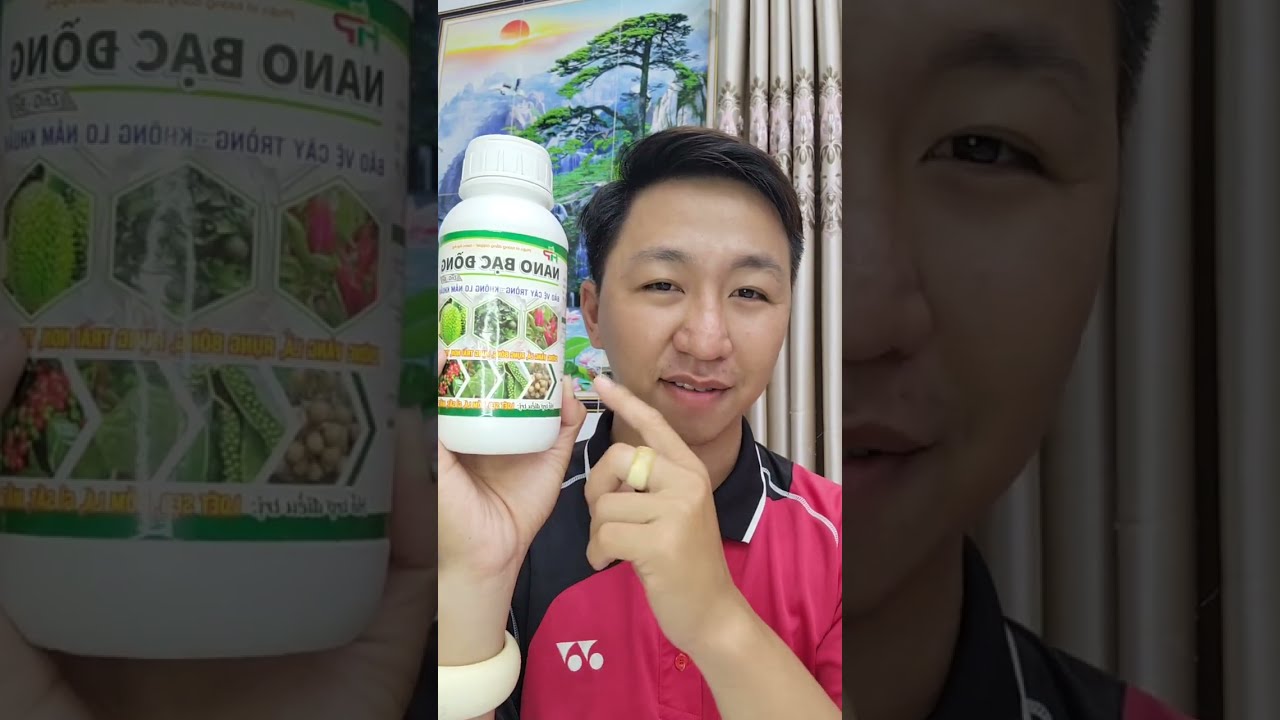 NANO BẠC ĐỒNG bảo về và phát triển cây 🇻🇳0933368532🌲bonsailinhsamnuitraihuonguyetquehongocmaichieuth