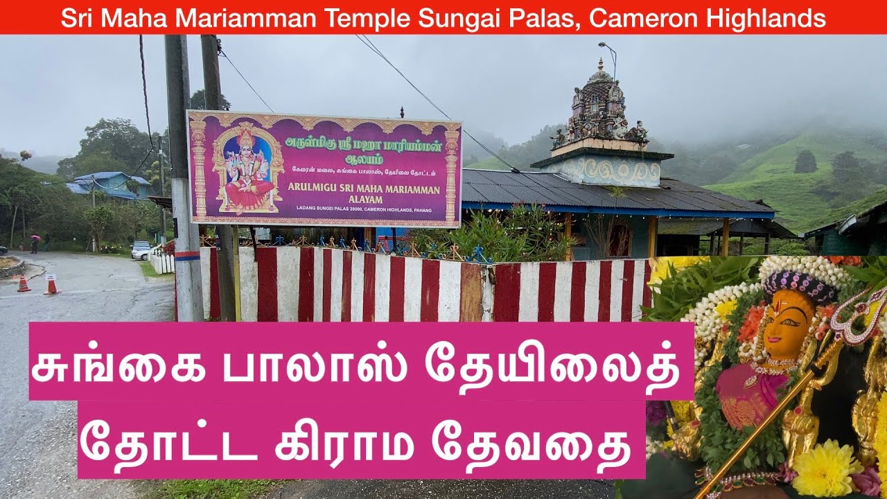 மழை மேகங்களுக்கு ஆணையிடும் அருள்மிகு மாரியம்மனின்  ஆலயம் | Sungai Palas Sri Maha Mariamman Temple