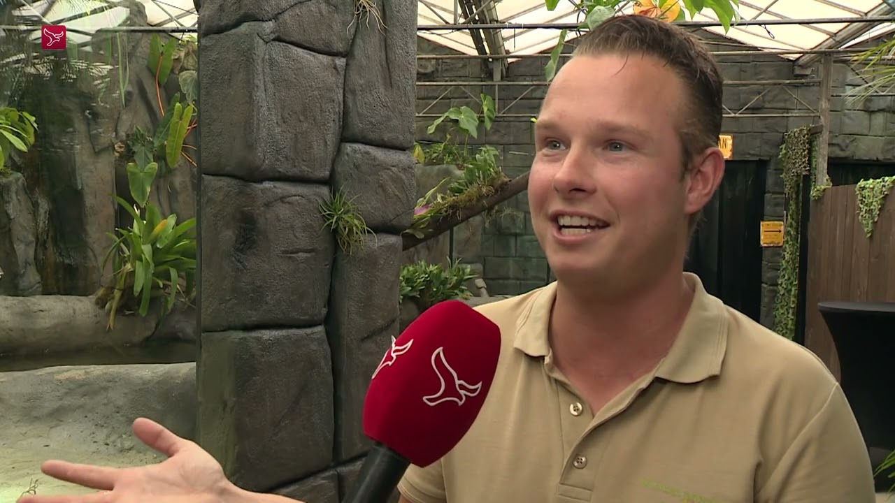 Kaaimannenverblijf geopend in Almere Jungle